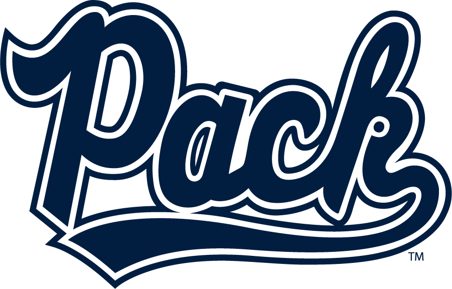 Nevada Wolf Pack 2023-Pres Secondary Logo diy iron on heat transfer